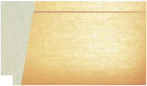 POL4042 Polcore