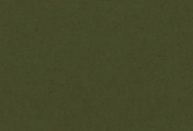 lcwcm dark green